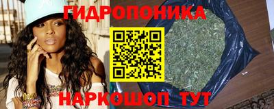 бошки Будённовск
